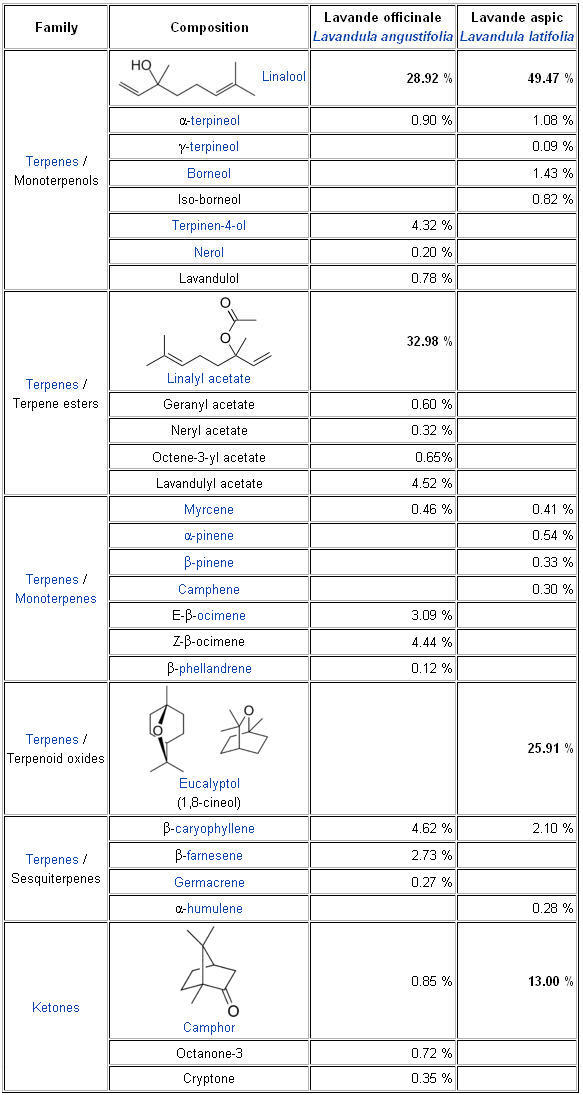 lavender composition chart