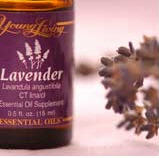 small bottle of lavender